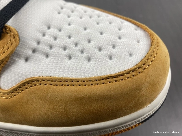 Reps LUCY 1 High Element Jordan Gore-Tex Curry DB2889-700 Light 0823